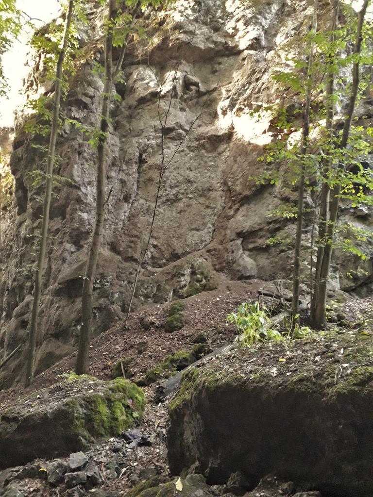 pepajs.cz